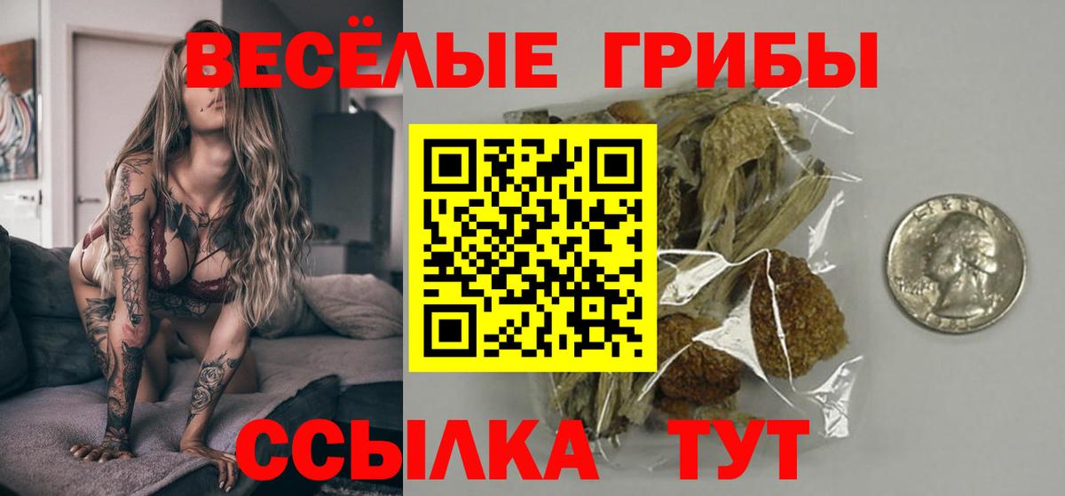 Галлюциногенные грибы Psilocybe  Вход с VPN  Электрогорск  Псилоцибиновые грибы Psilocybe 